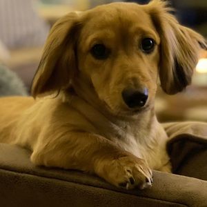 Meet your Posher, Mary ann